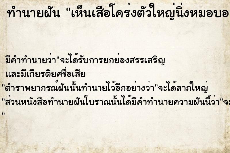 ทำนายฝัน เห็นเสือโคร่งตัวใหญ่นิ่งหมอบอยู่ตรงหน้า วัน